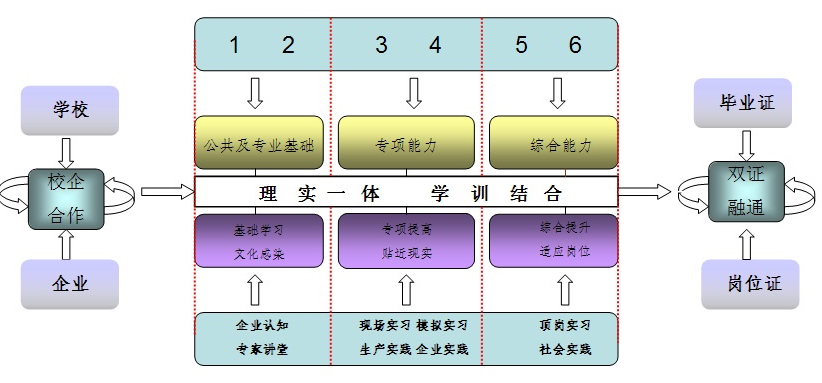 人才培养模式